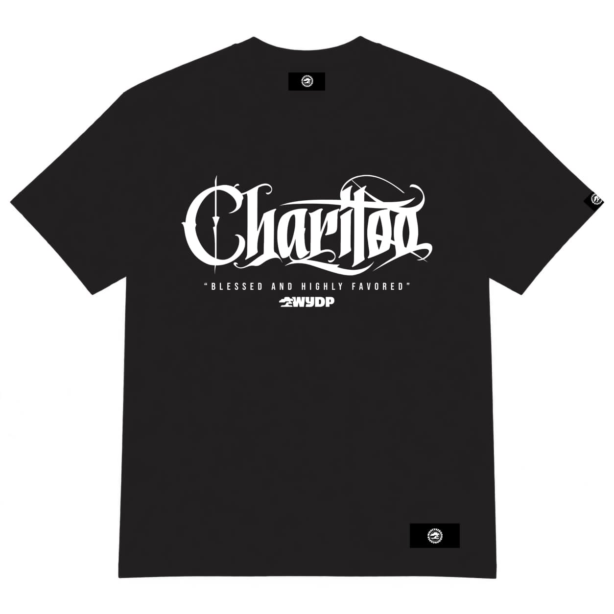 Blessed & Highly Favored Men's Christian Black T-Shirt | Faith Graphic Tee